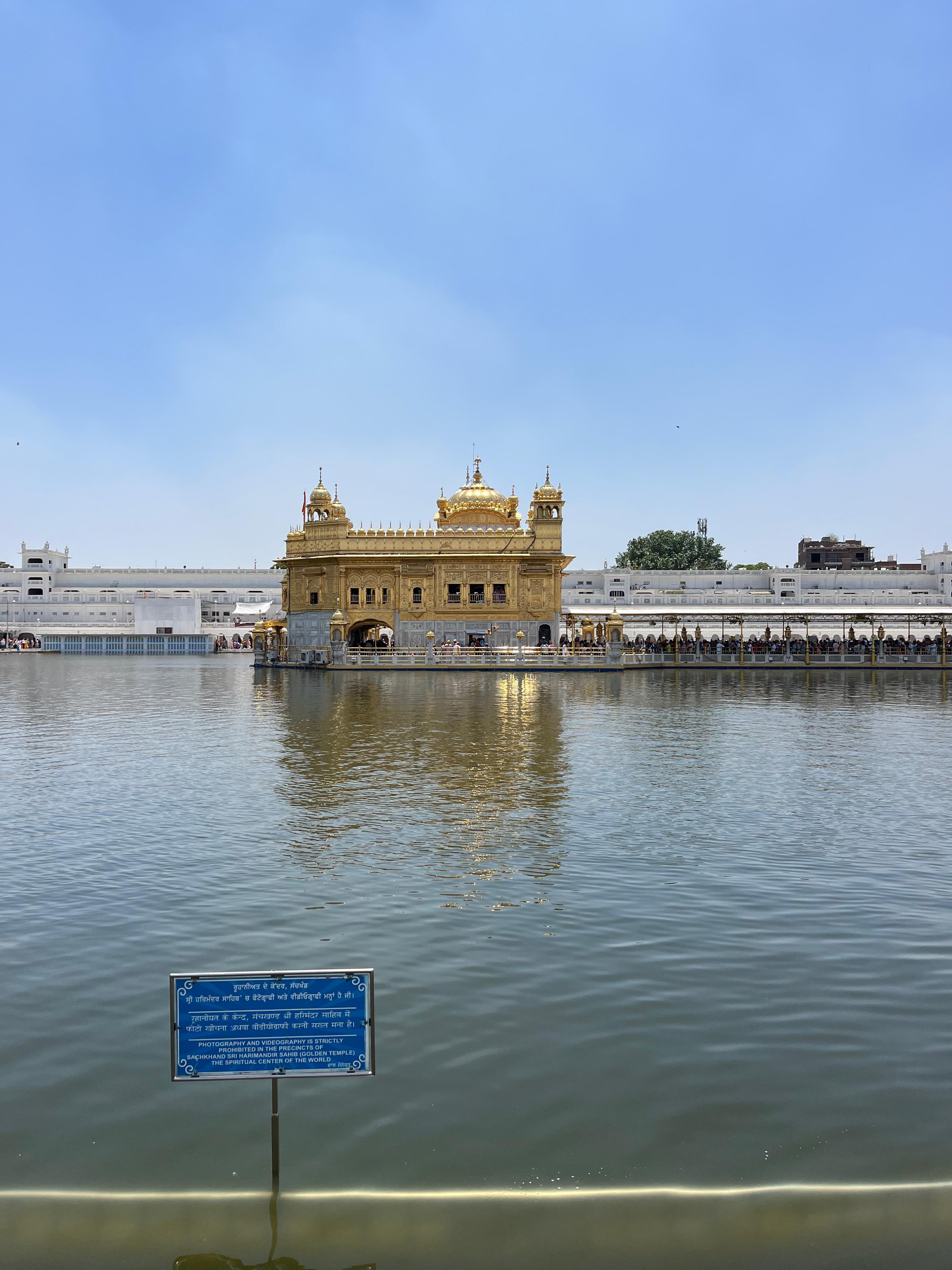 Golden temple Ponds with fish