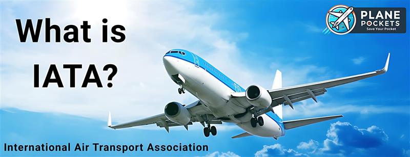 What is IATA