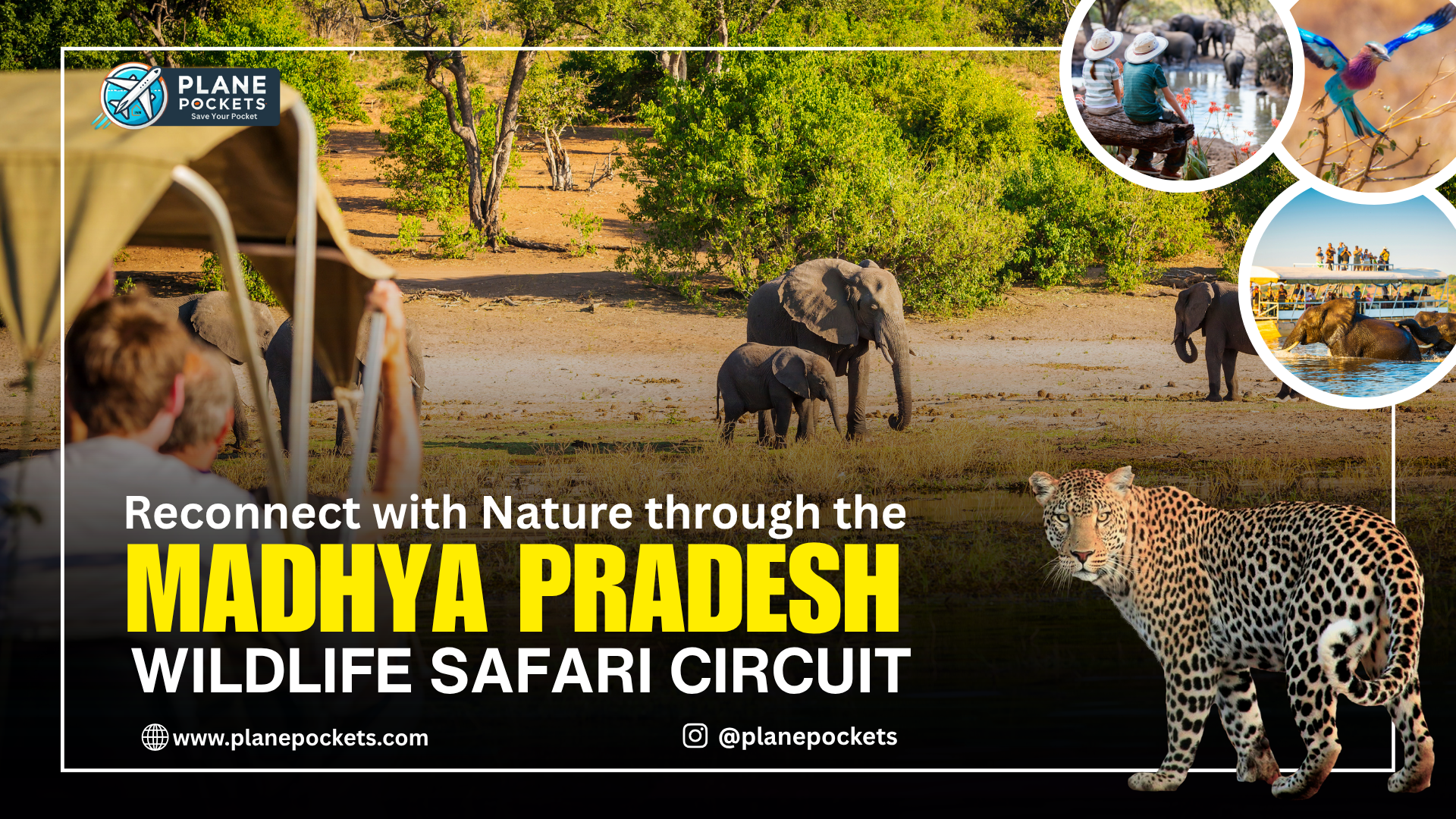 Madhya Pradesh Wildlife Safari Circuit